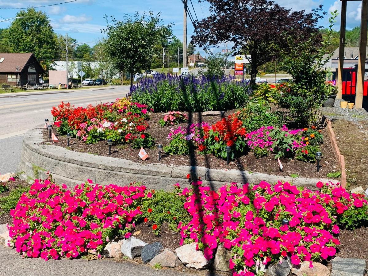 Town & Country Motel Parry Sound Exterior photo